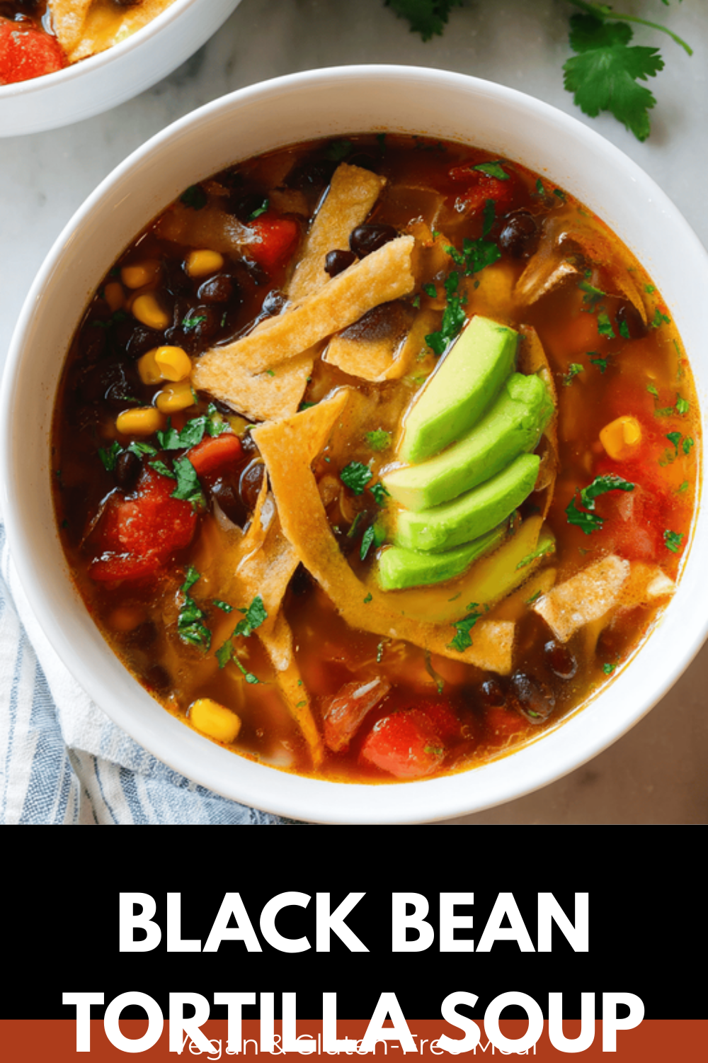 Black Bean Tortilla Soup With Fresh Salsa And Zesty Spices 7 Black Bean Tortilla Soup