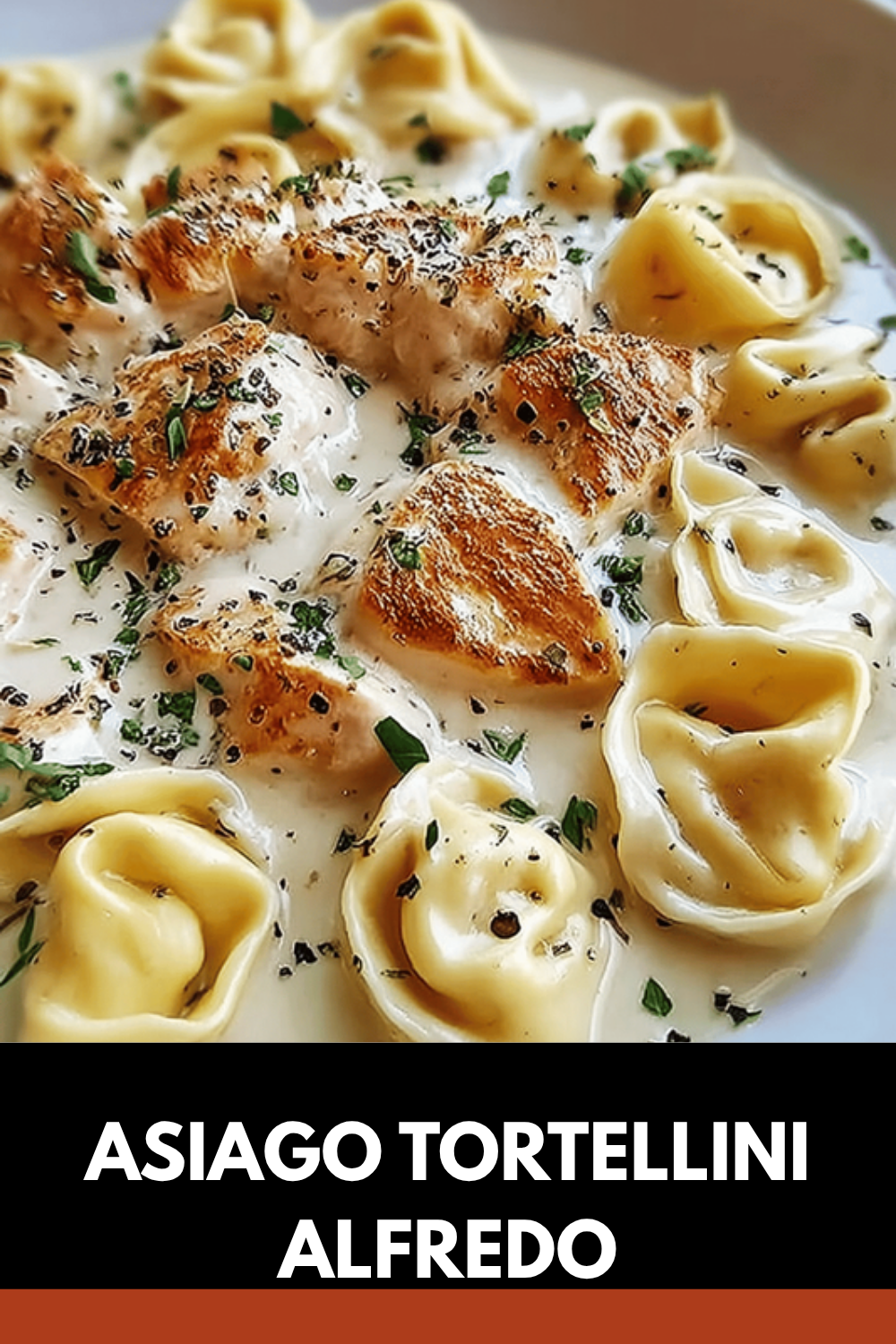 Asiago Tortellini Alfredo