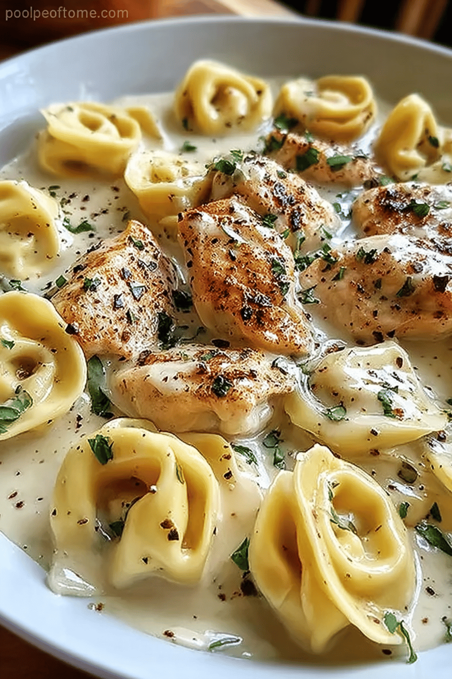 Asiago Tortellini Alfredo