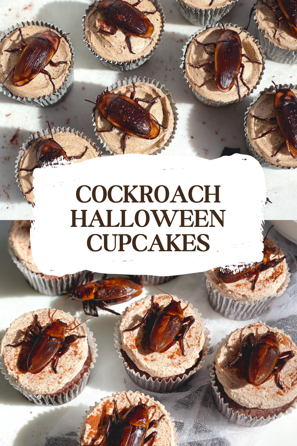Cockroach Halloween Cupcakes