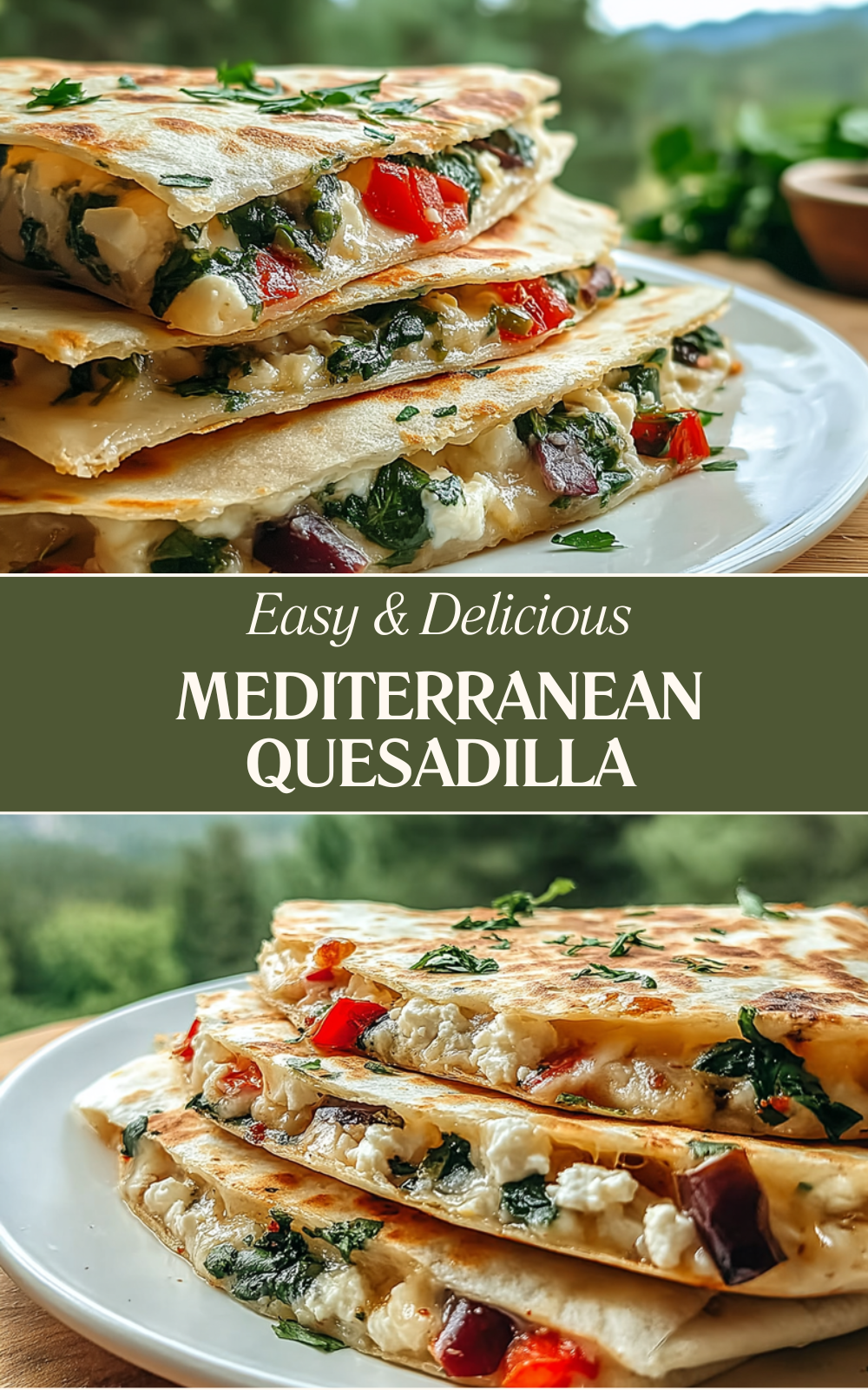 Mediterranean Quesadilla