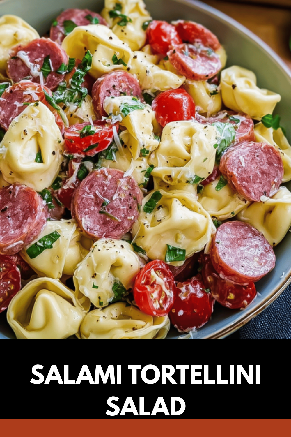 Italian Salami Tortellini Salad Ready In 5 Minutes 7 Salami Tortellini Salad
