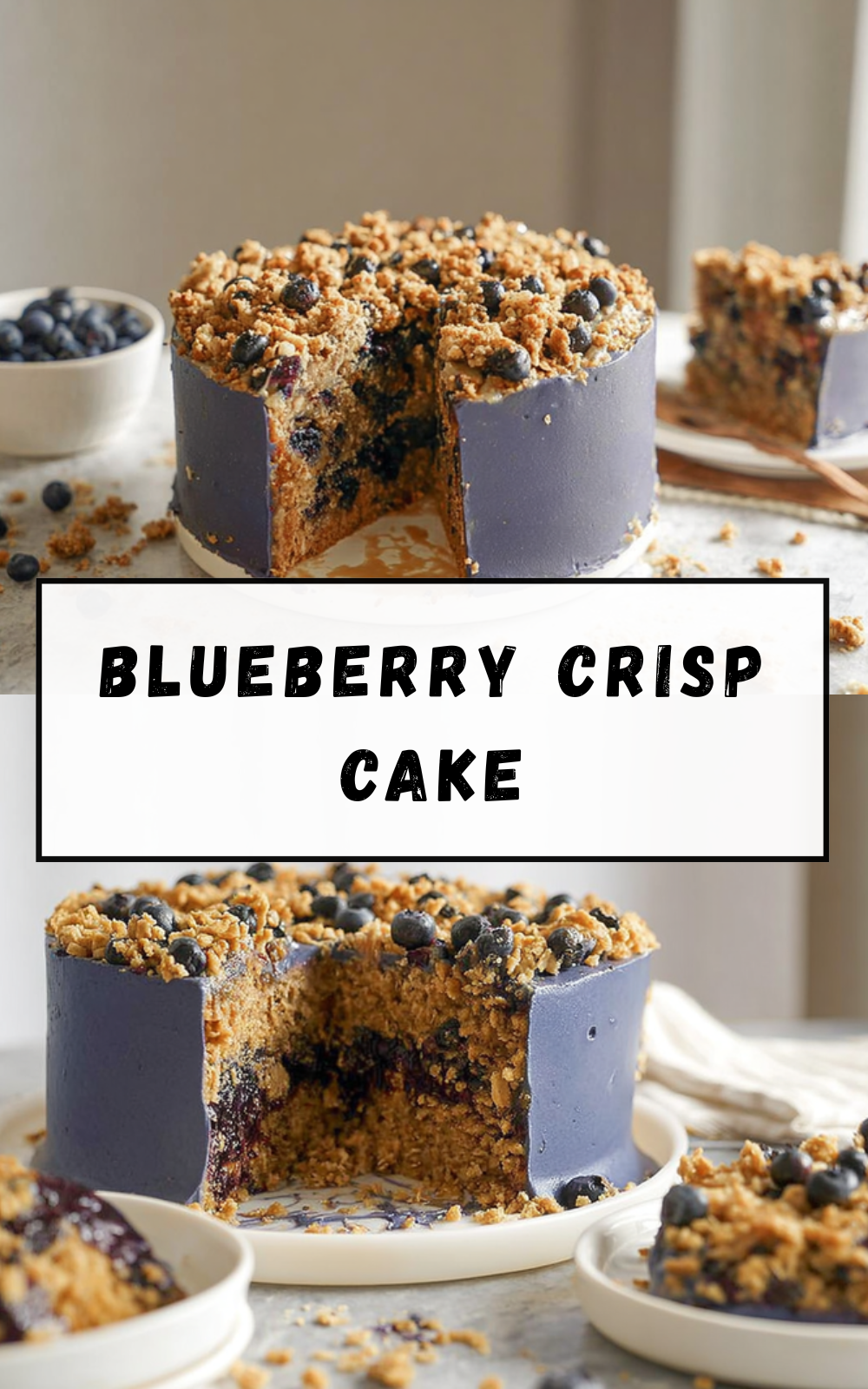 Blueberry Crisp Cake