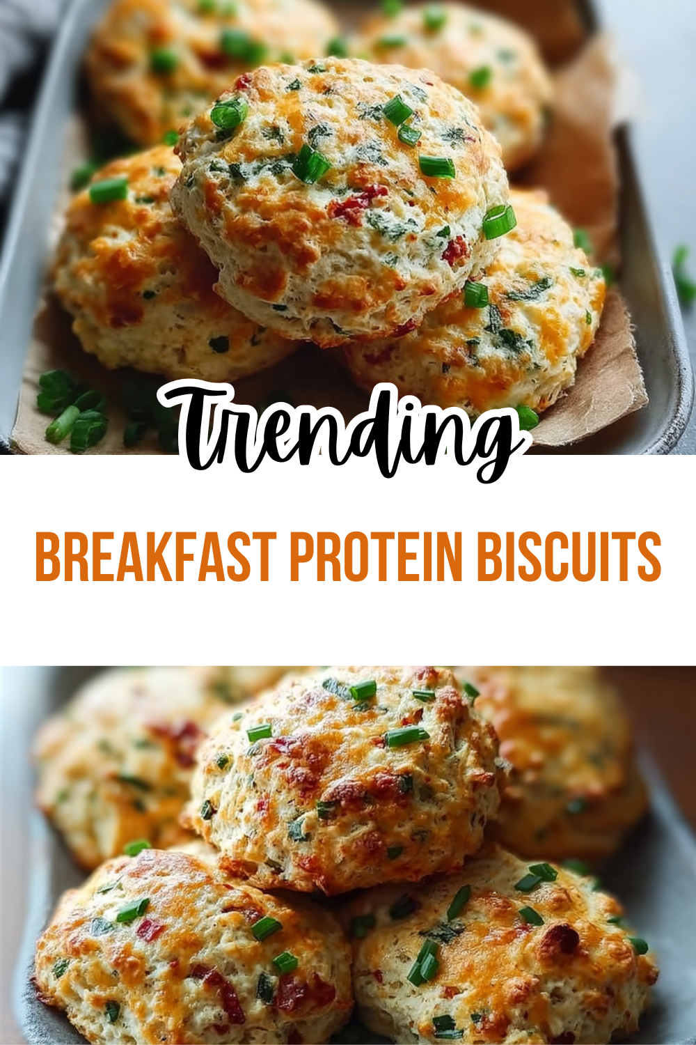 Breakfast Protein Biscuits Recipes For A Quick Nutritious Start 7 Breakfast Protein Biscuits