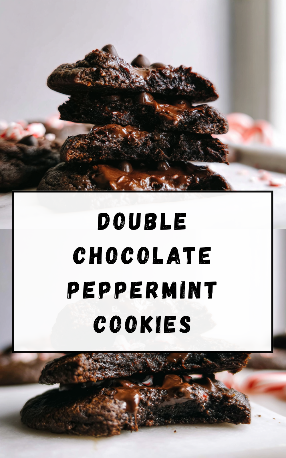 Double Chocolate Peppermint Cookies