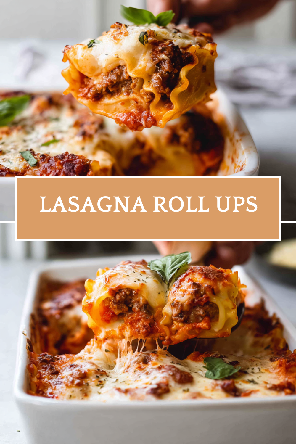 Lasagna Roll Ups