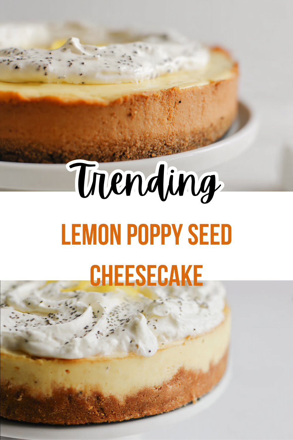 Lemon Poppy Seed Cheesecake
