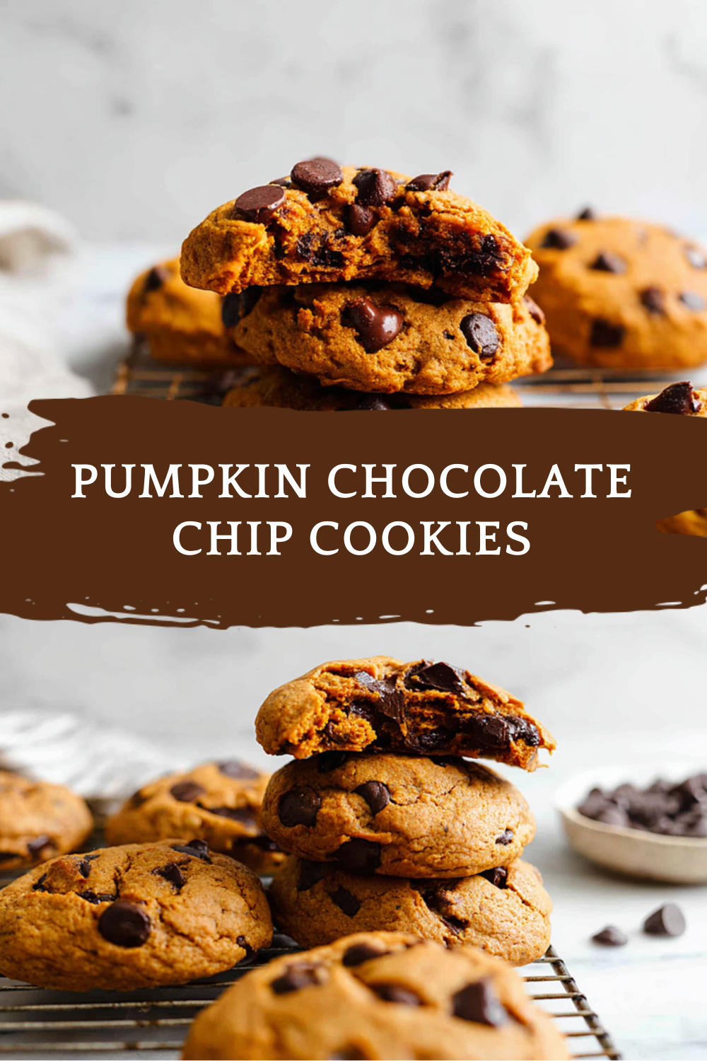 Pumpkin Chocolate Chip Cookies