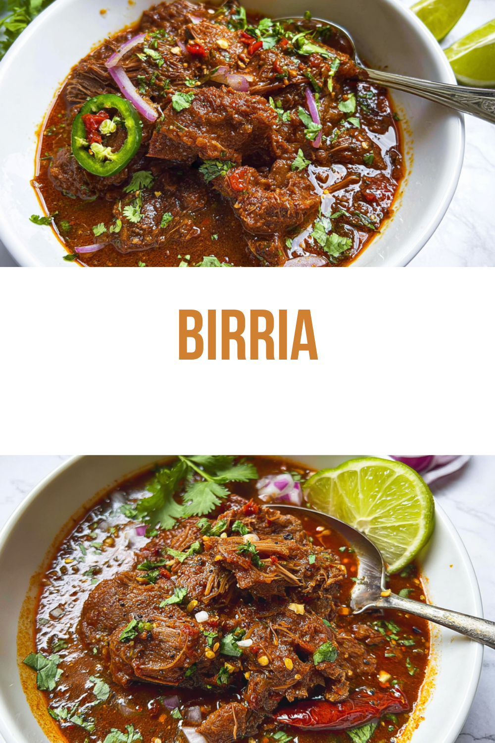 Authentic Mexican Birria Recipe With Rich Spices And Tender Meat 7 Birria