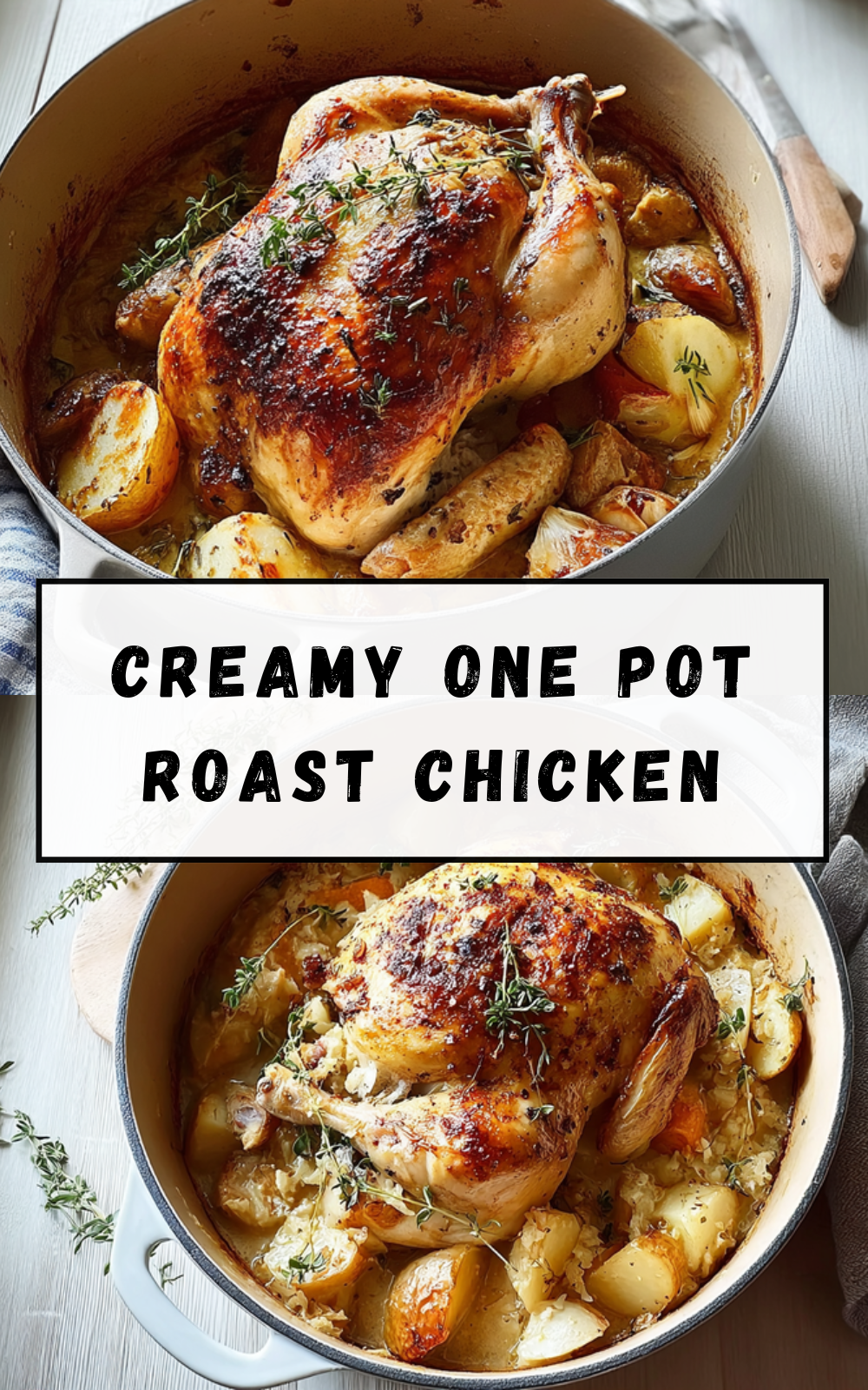 Creamy Garlic Chicken Recipe With Rich Flavor And Easy Steps 7 Creamy One Pot Roast Chicken