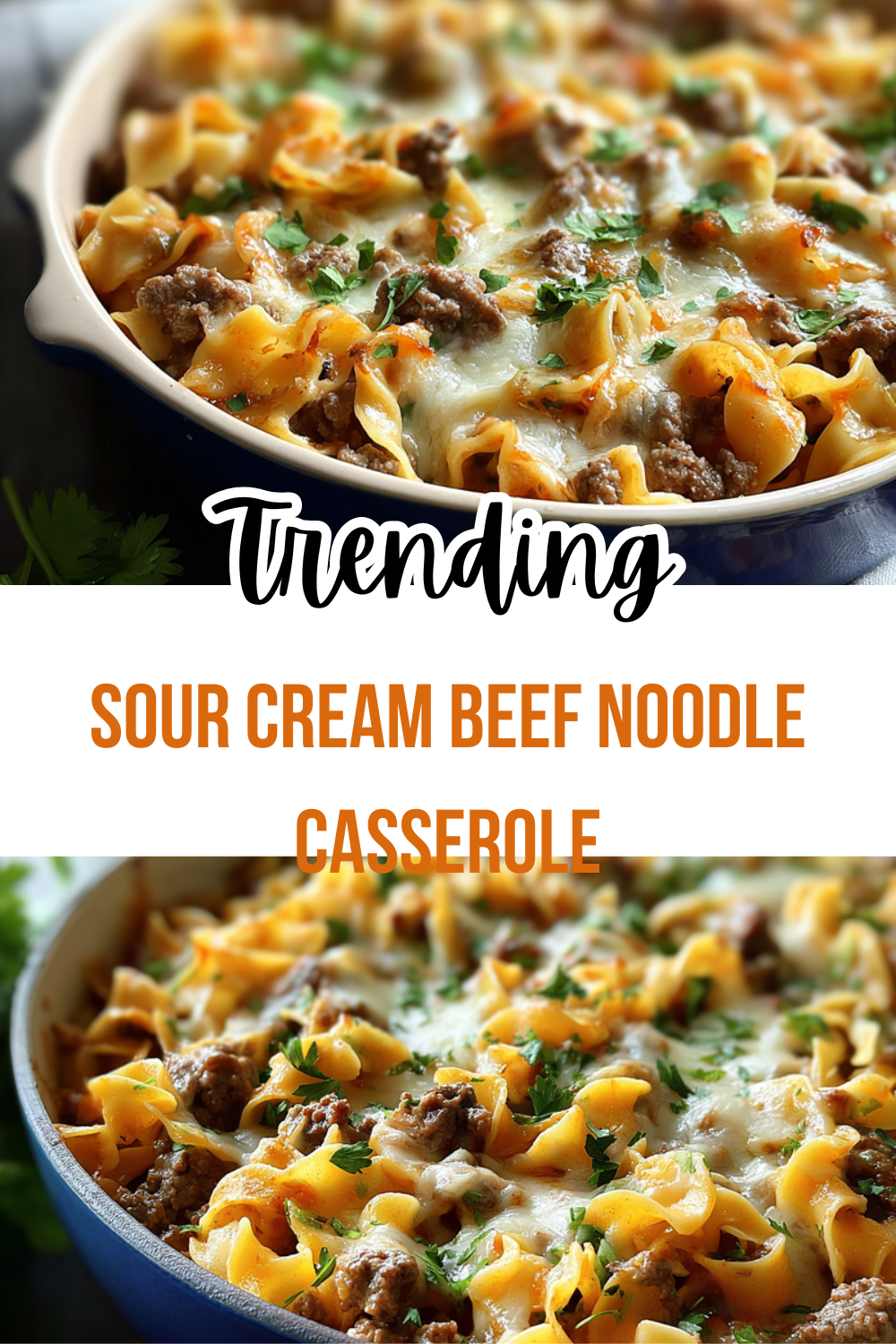 Sour Cream Beef Noodle Casserole