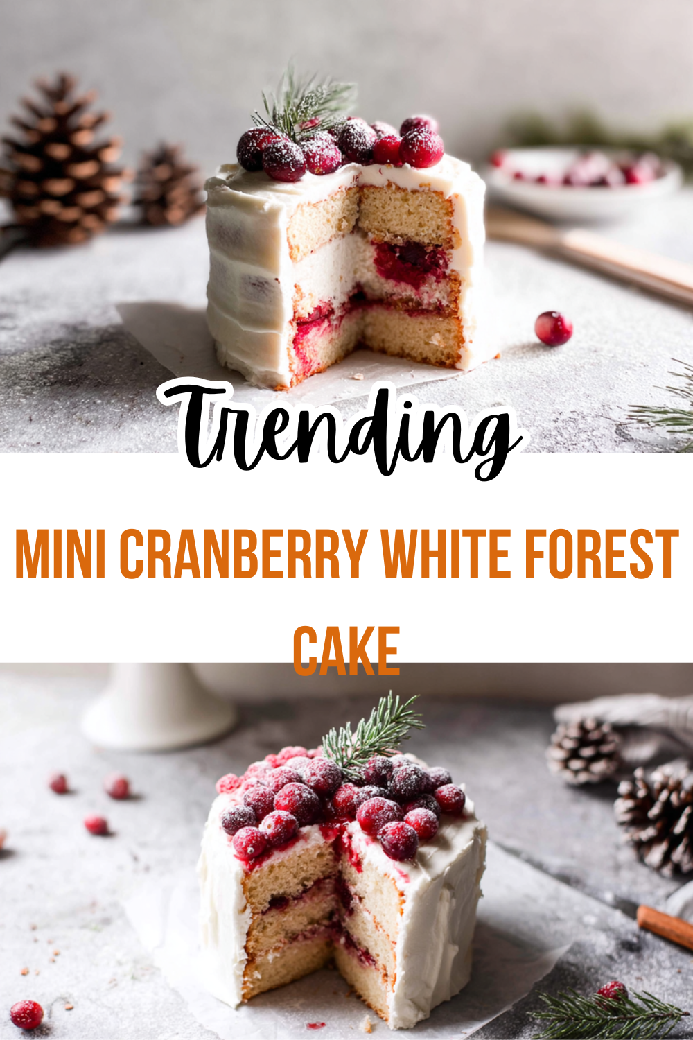 Mini Cranberry White Forest Cake