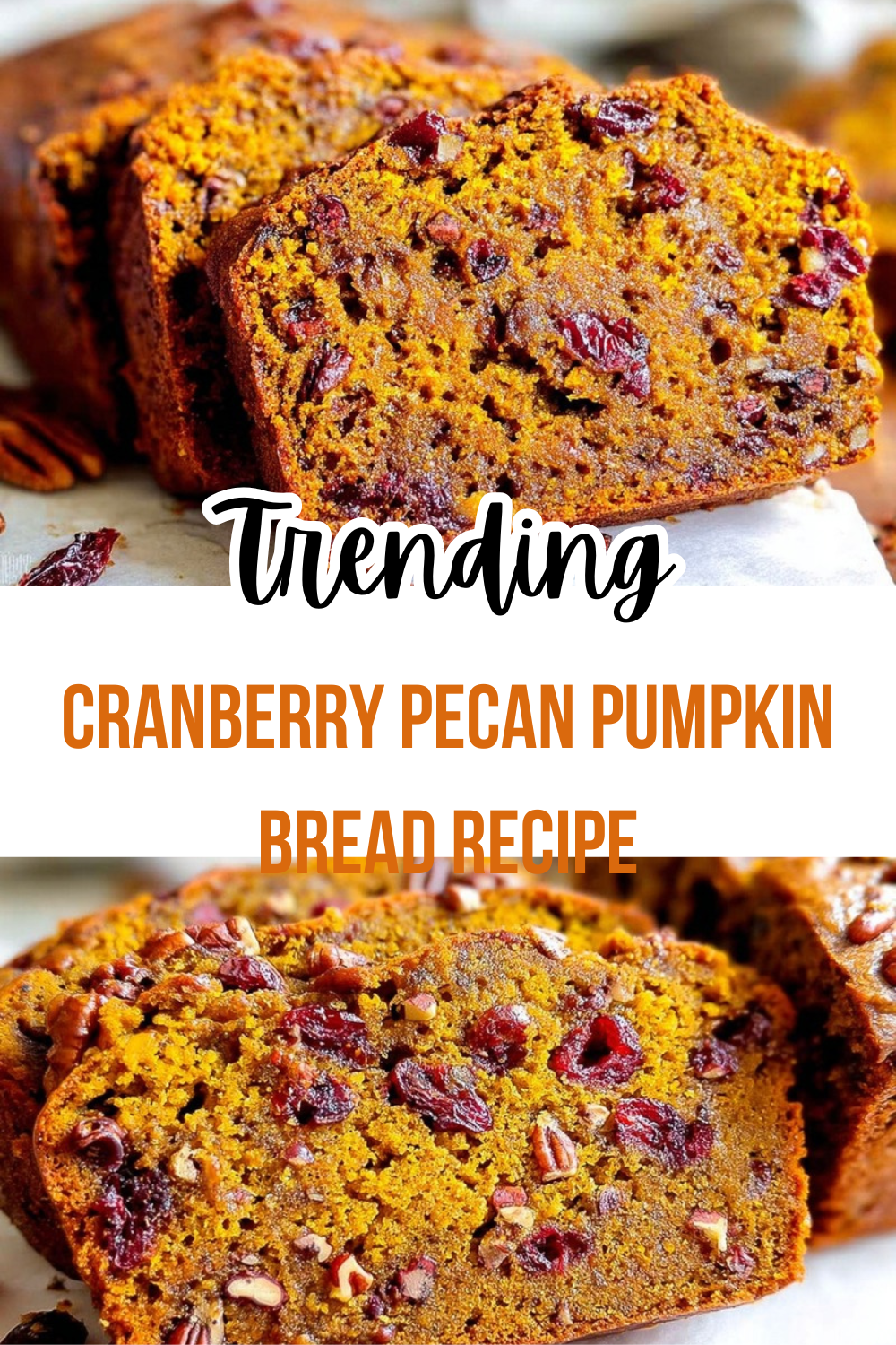 Cranberry Pecan Pumpkin Bread Recipe