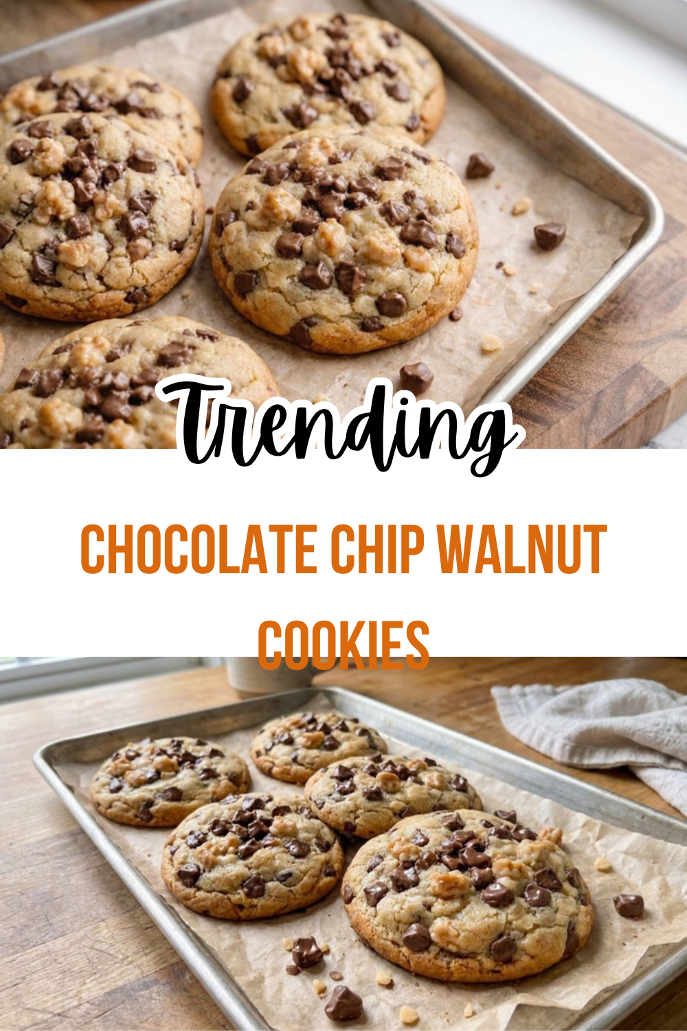 Chocolate Chip Walnut Cookies