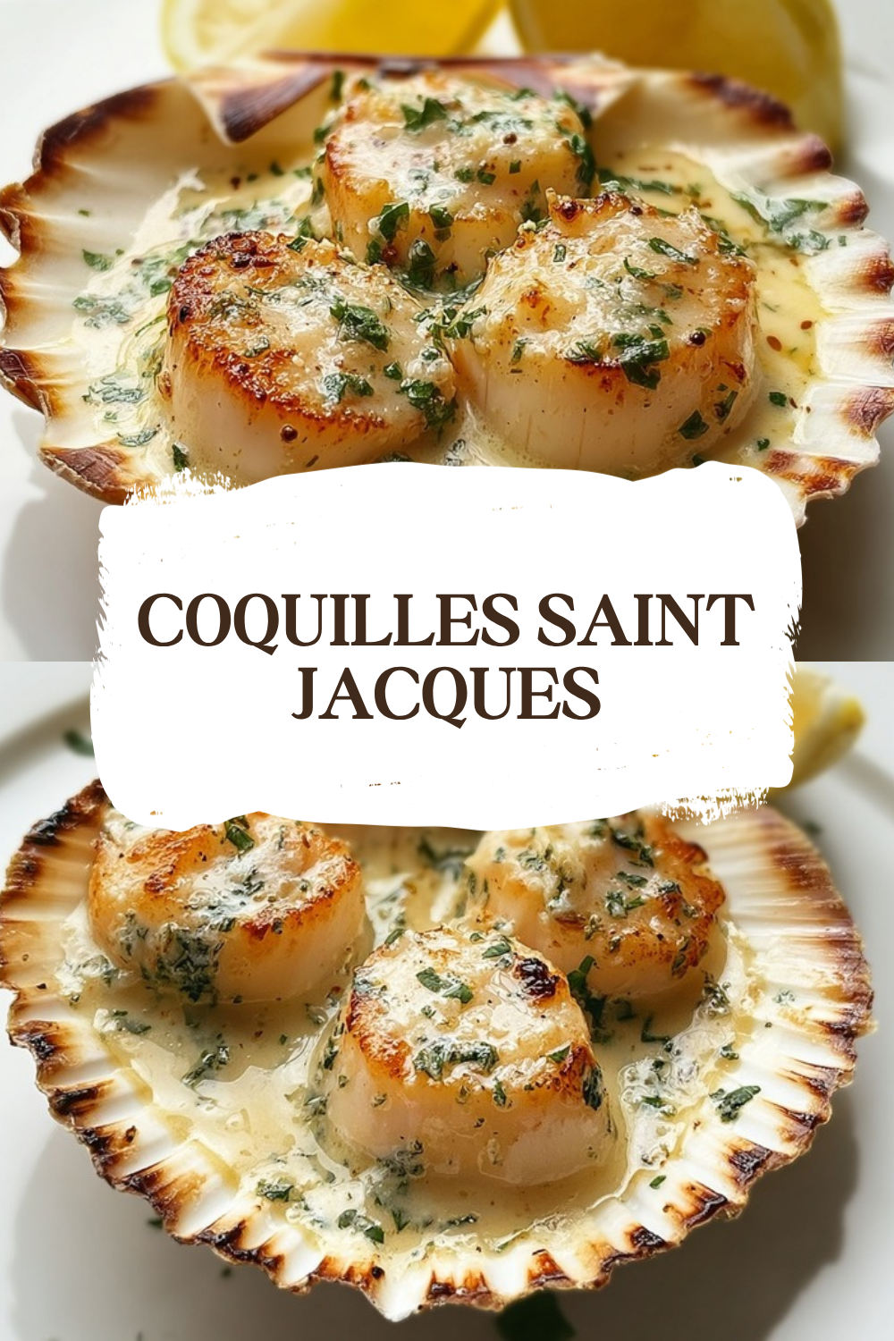 Coquilles Saint Jacques