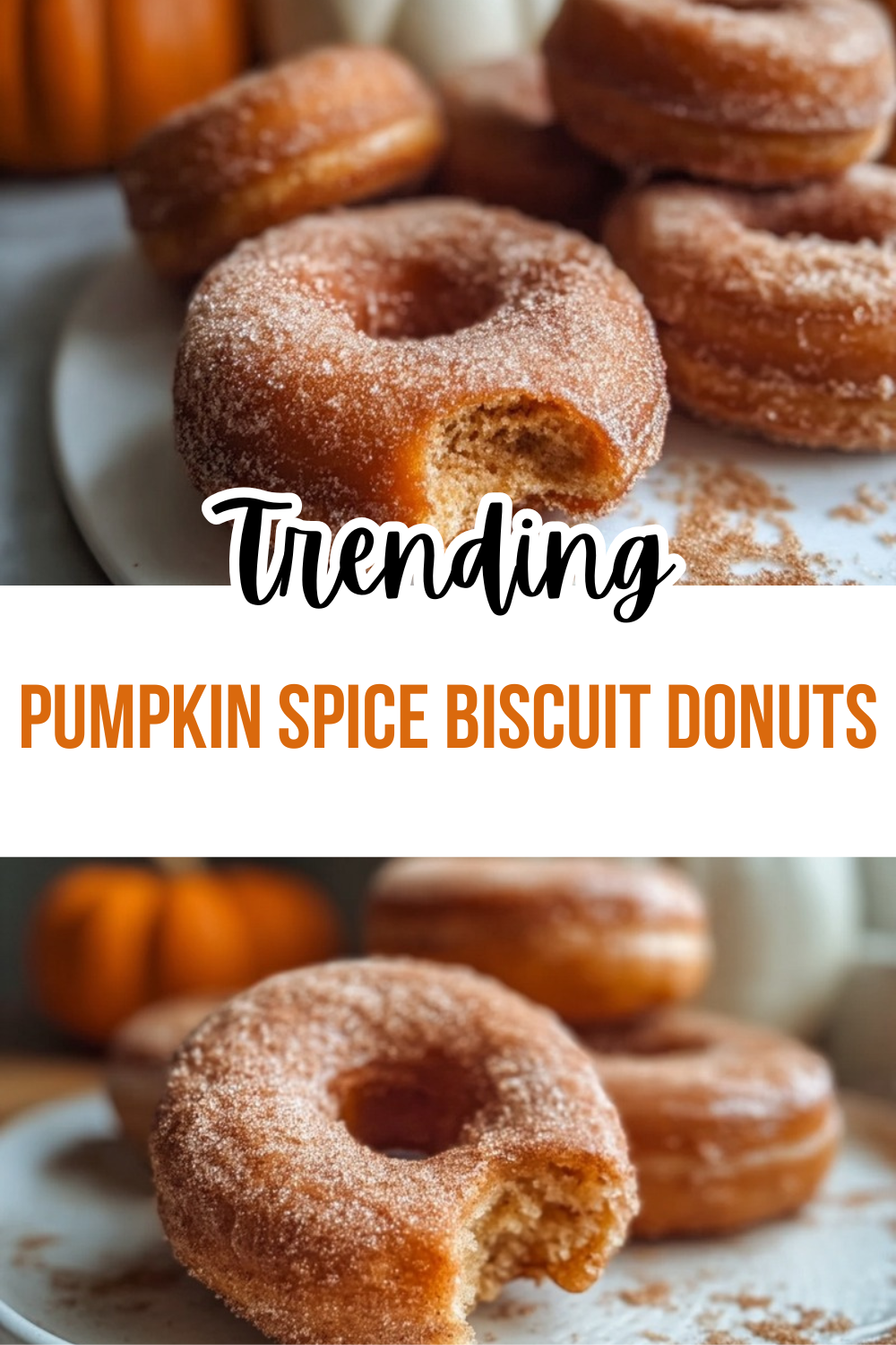 Pumpkin Spice Biscuit Donuts Recipe 7 Pumpkin Spice Biscuit Donuts